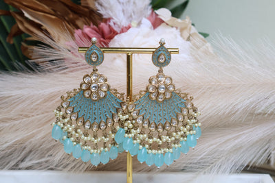 Contemporary Stylish Earring - Indian Secrets