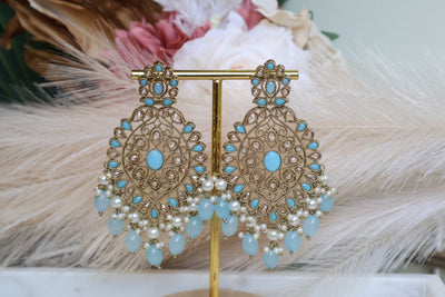 Izhaar Beautiful Earring - Indian Secrets