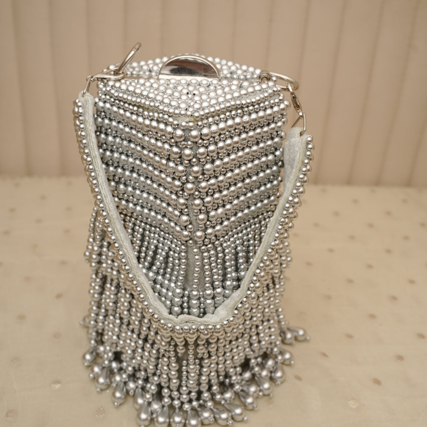 Silver Tassel  Bag